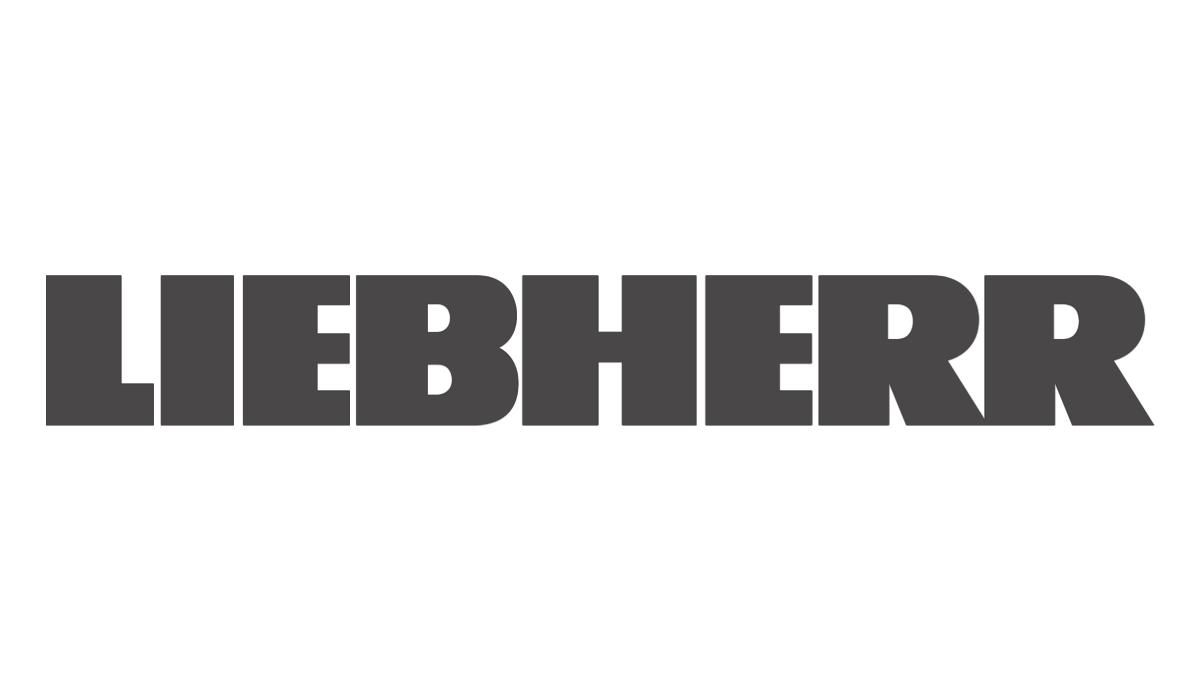 O-RING LIEBHERR 726431201